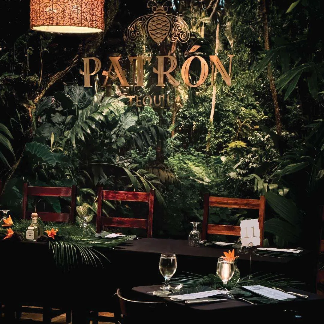 event_images-06 patrondinner