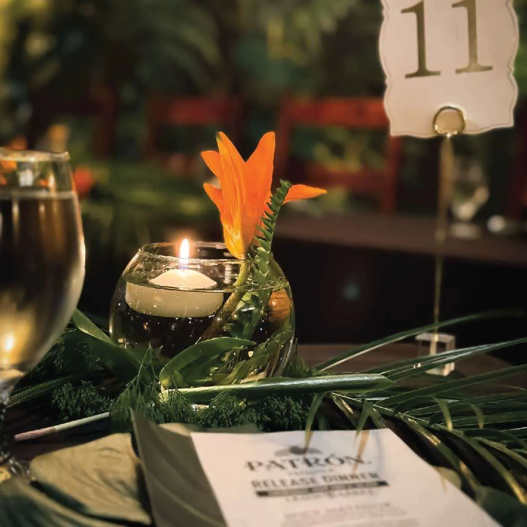 event_images-07 patron dinner